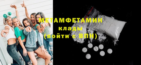 индика Володарск