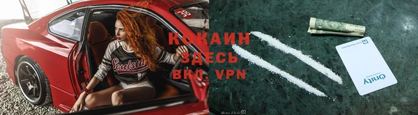 индика Володарск