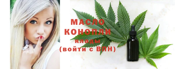 индика Володарск