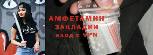 индика Володарск