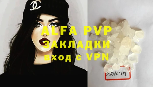 индика Володарск