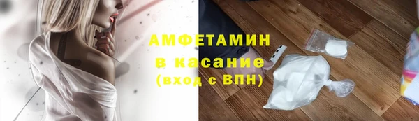 индика Володарск