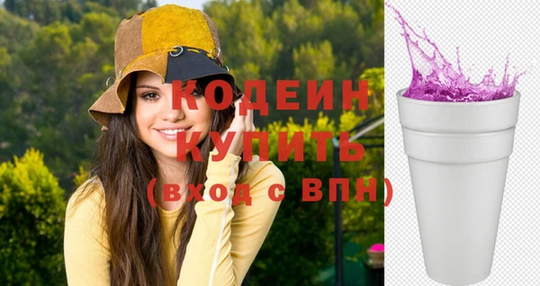 индика Володарск