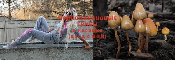 индика Володарск