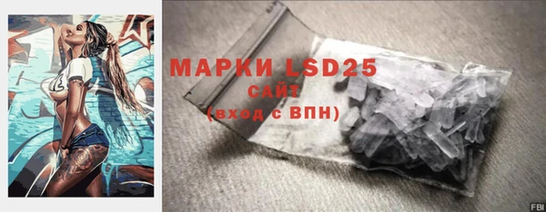 индика Володарск