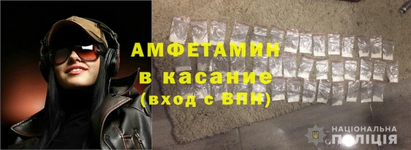 индика Володарск