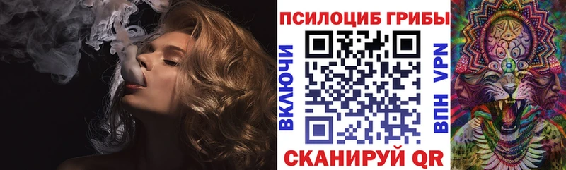 Купить  Малая Вишера  Псилоцибиновые грибы Magic Shrooms 